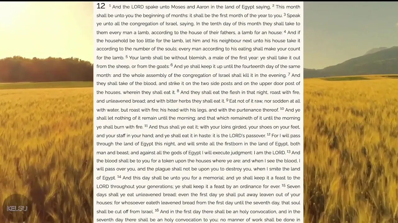 Coomer Landlord Narrates The 1611 King James Bible 24/7 - Audio TTS Authorized KJV Live