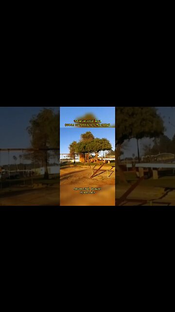 De cuando se tiró un árbol viejo en el Centro de Barrio N°3 #tacuarembó #uruguay (17/08/2017)