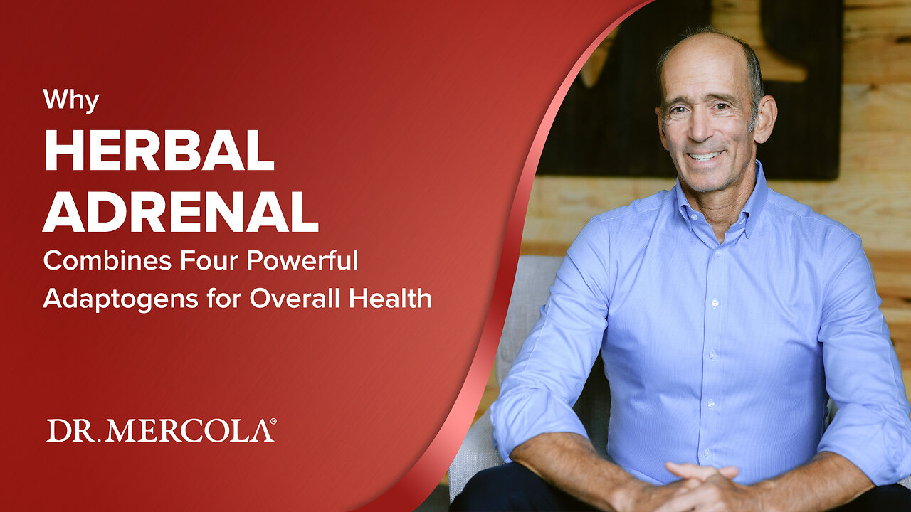 Why HERBAL ADRENAL Combines Four Powerful Adaptogens for Overall Health