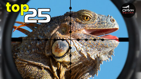 Best HEADSHOTS of 2021