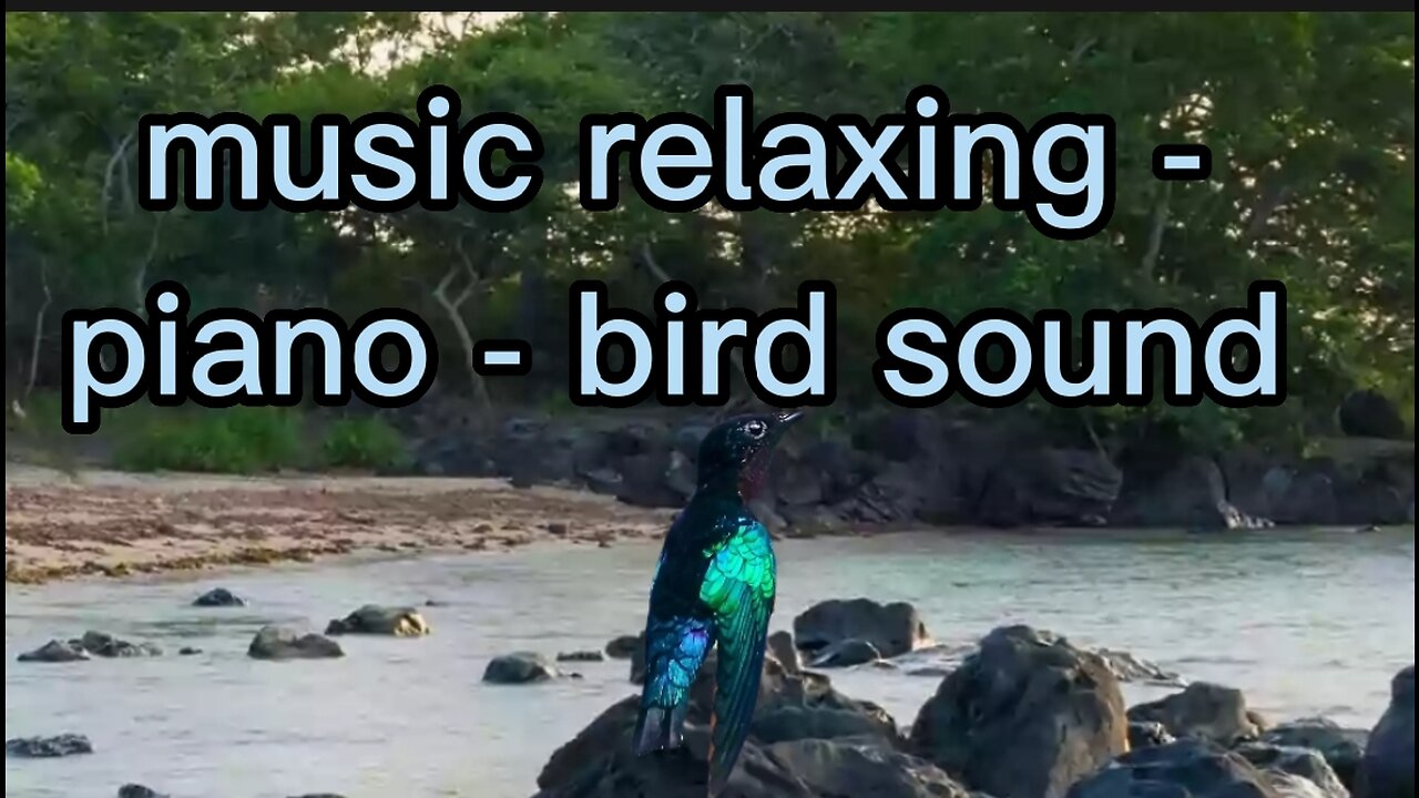 Music relaxing - bird sound