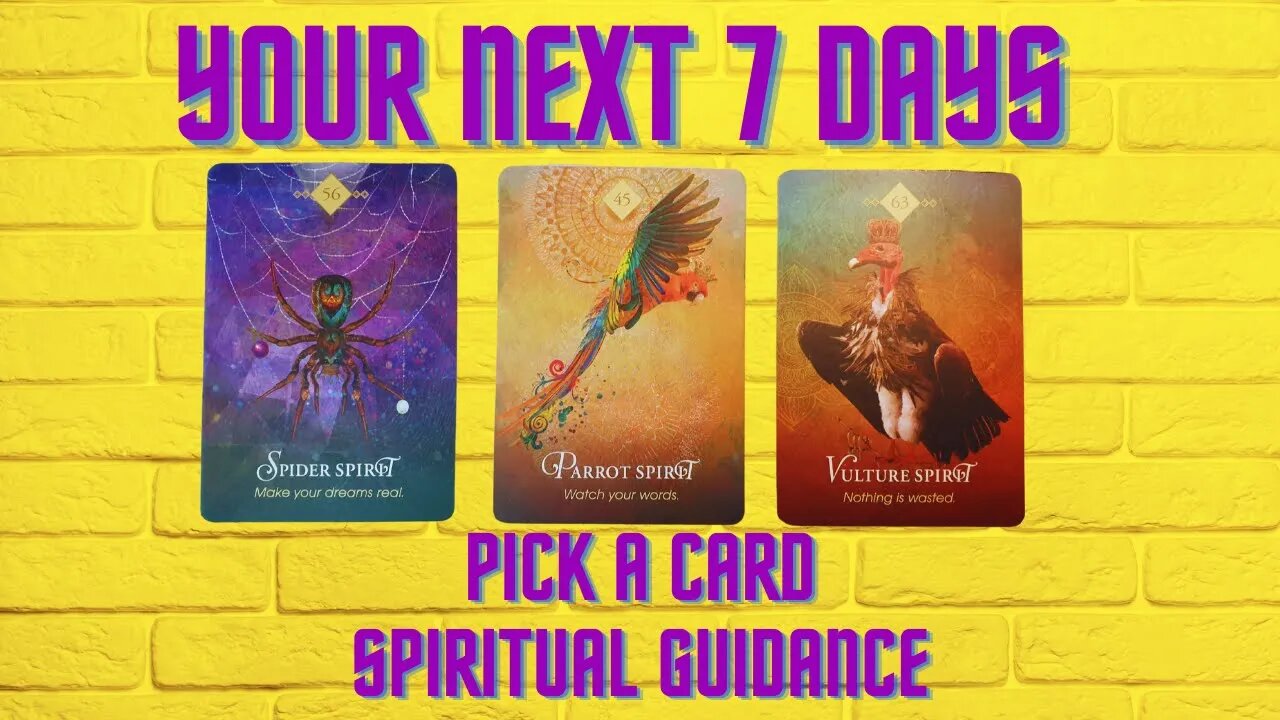 Trouble in Your Relationships? | Your Guidance For The Next 7 Days | Pick A Card