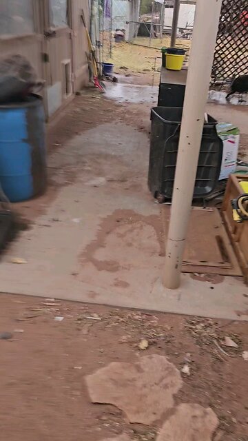 what are you turkeys doing out there? (Short)