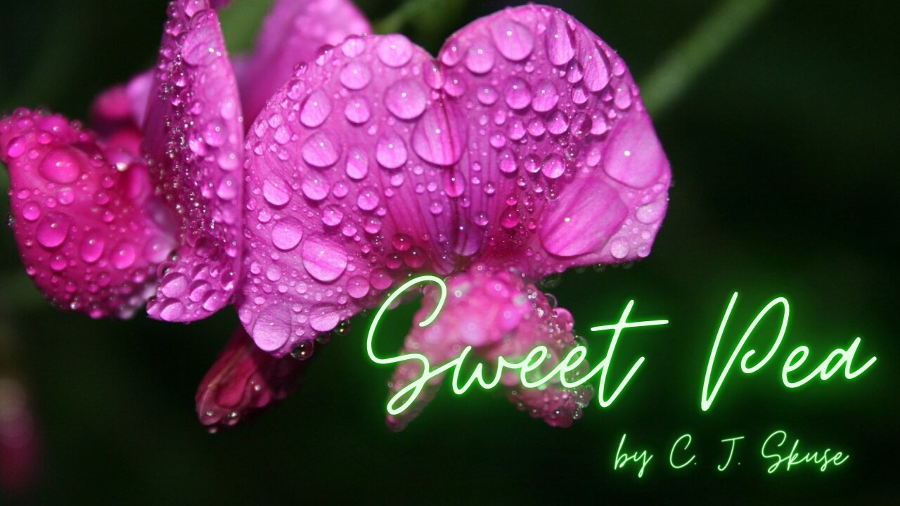 SWEET PEA by C. J.Skuse