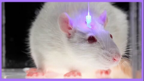 Optogenetics and the Secret Worldwide Nanotech Experiment