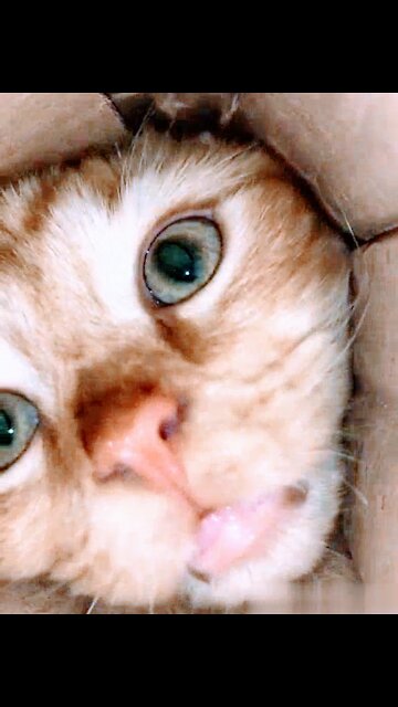 Just look at this miracle