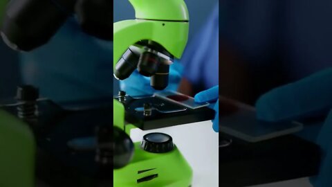 Amazing Videos for entertainment(5)
