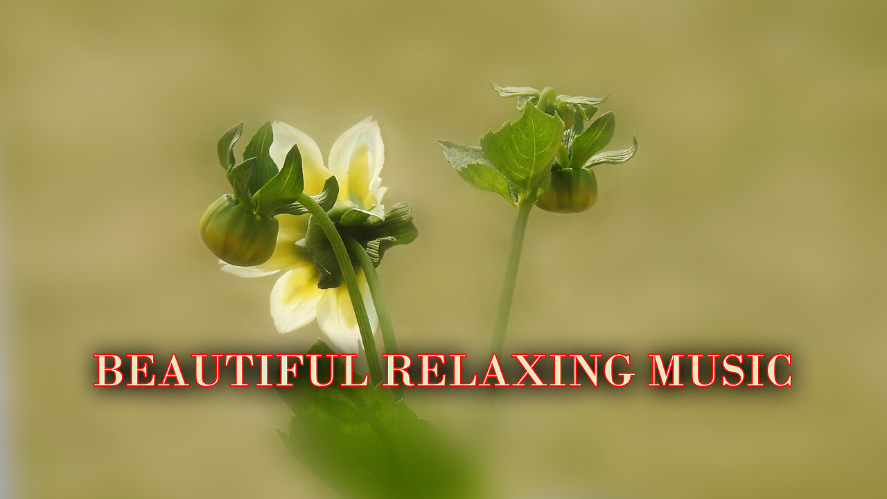 DEEP RELAXATIO II BEAUTIFUL RELAXING MUSIC