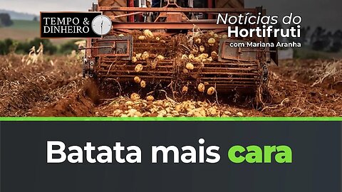 Batata mais cara. Aumento reflete menor volume comercializado.