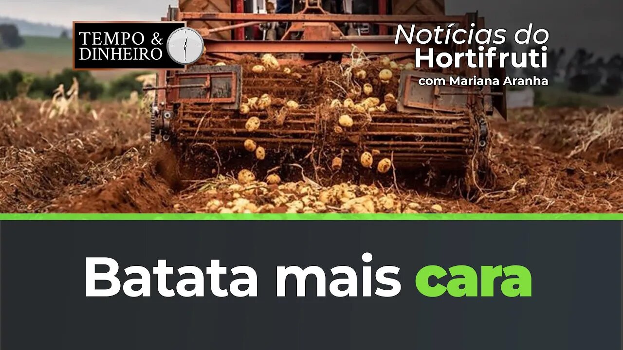 Batata mais cara. Aumento reflete menor volume comercializado.