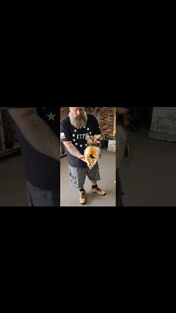 Mr Van's #shorts #viral #Damascus