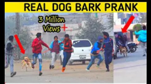 Real Dog Bark Prank