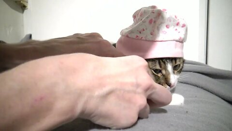 Take off this Cap, Hooman!