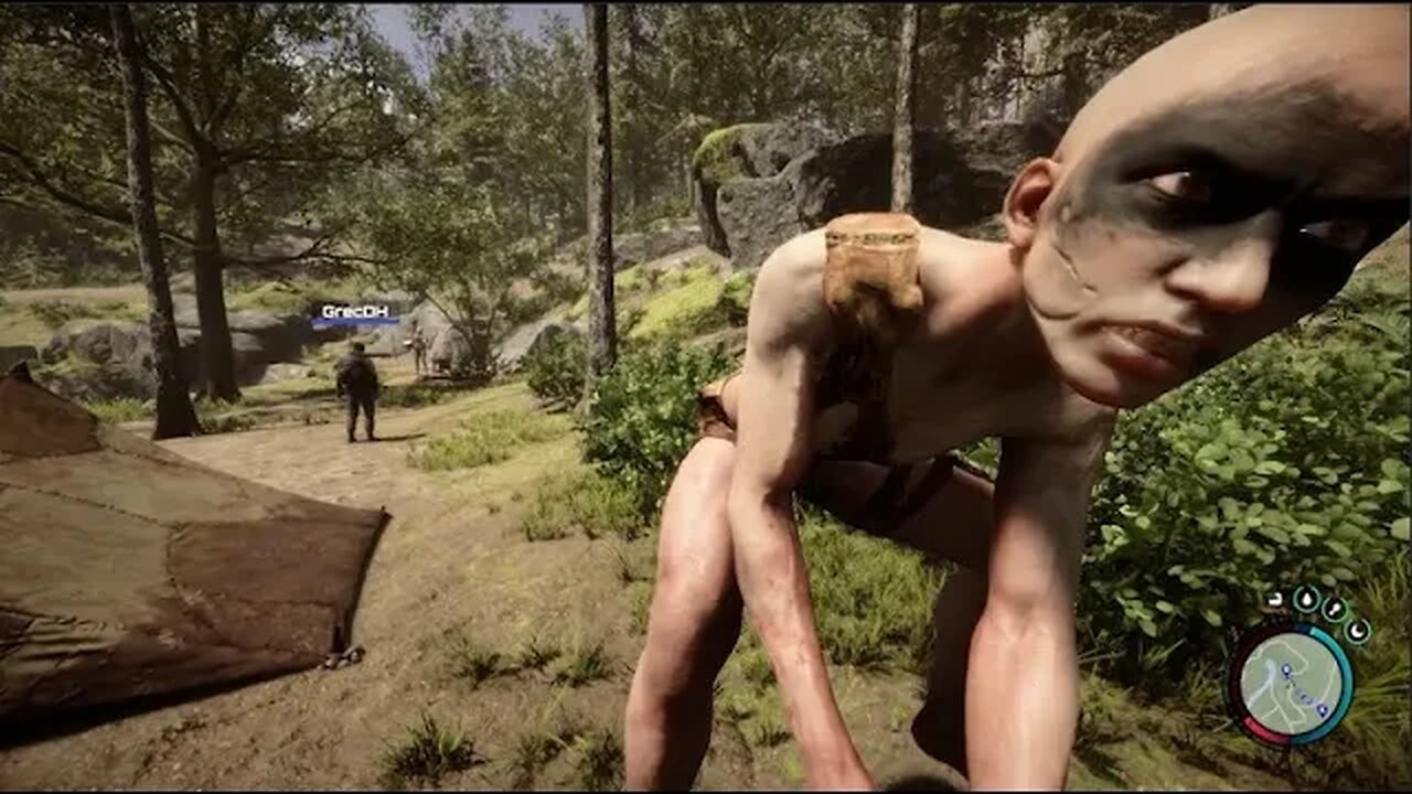 Idiots in the forest