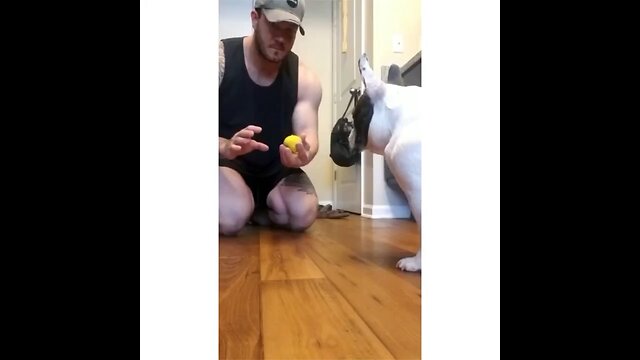 😂