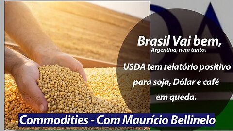 USDA tem relatório positivo para soja