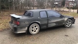 Killing mice in my cougar