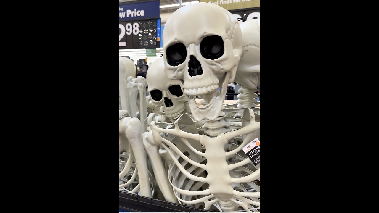 Step into the spooky season with a bone-chilling display of skeleton models at our store! 🦴