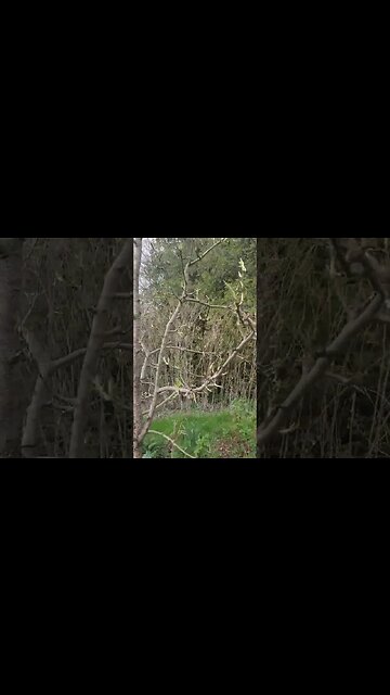 Observation is a critical factor in food forest stewardship. Get outside as much as possible.