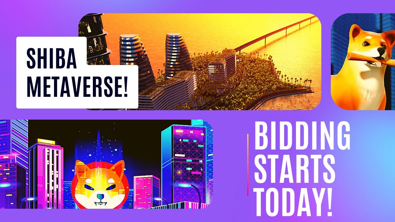 Today Marks The Official Start Of The Metaverse Land Bid Event For The $Shib Token!