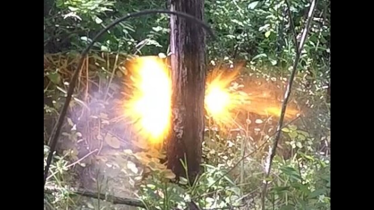 Dynamite - How to cut down a tree using real Dynamite