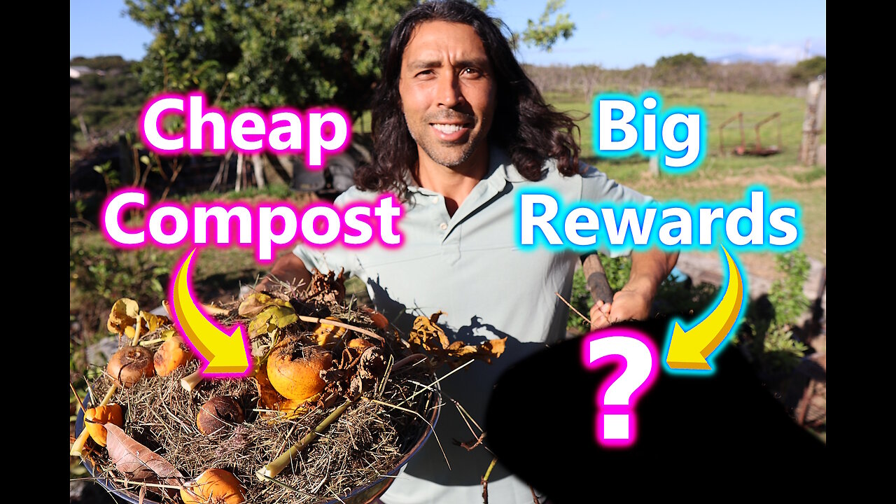 From Trash To Treasure How To Compost On A Budget