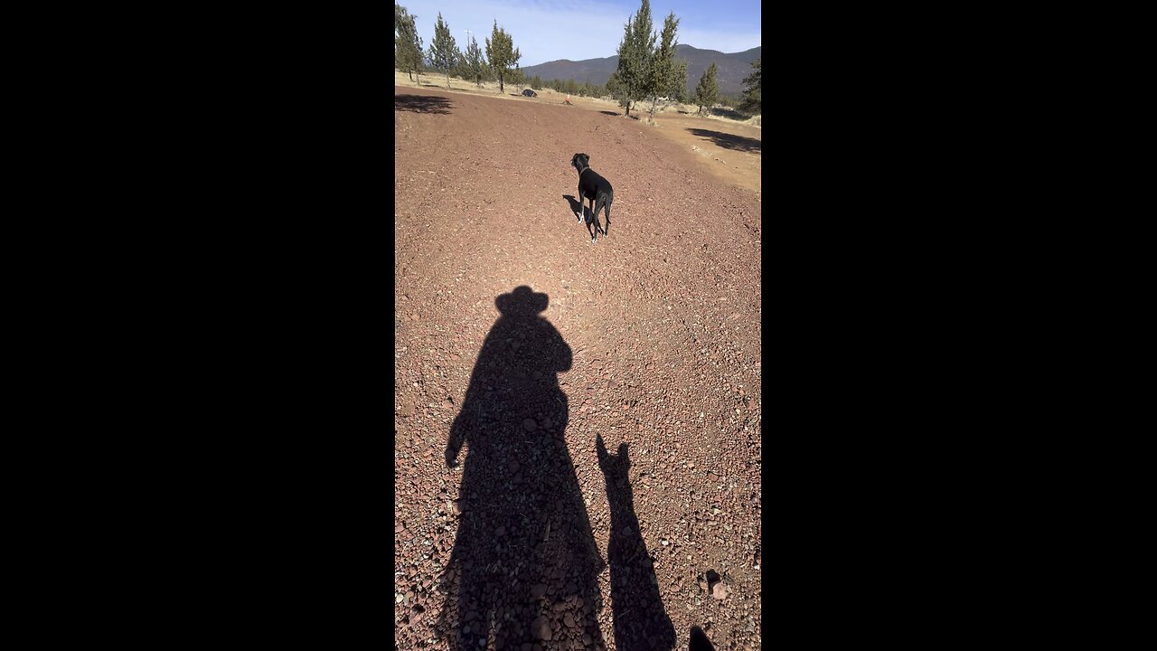 Who wants to go for a walk?