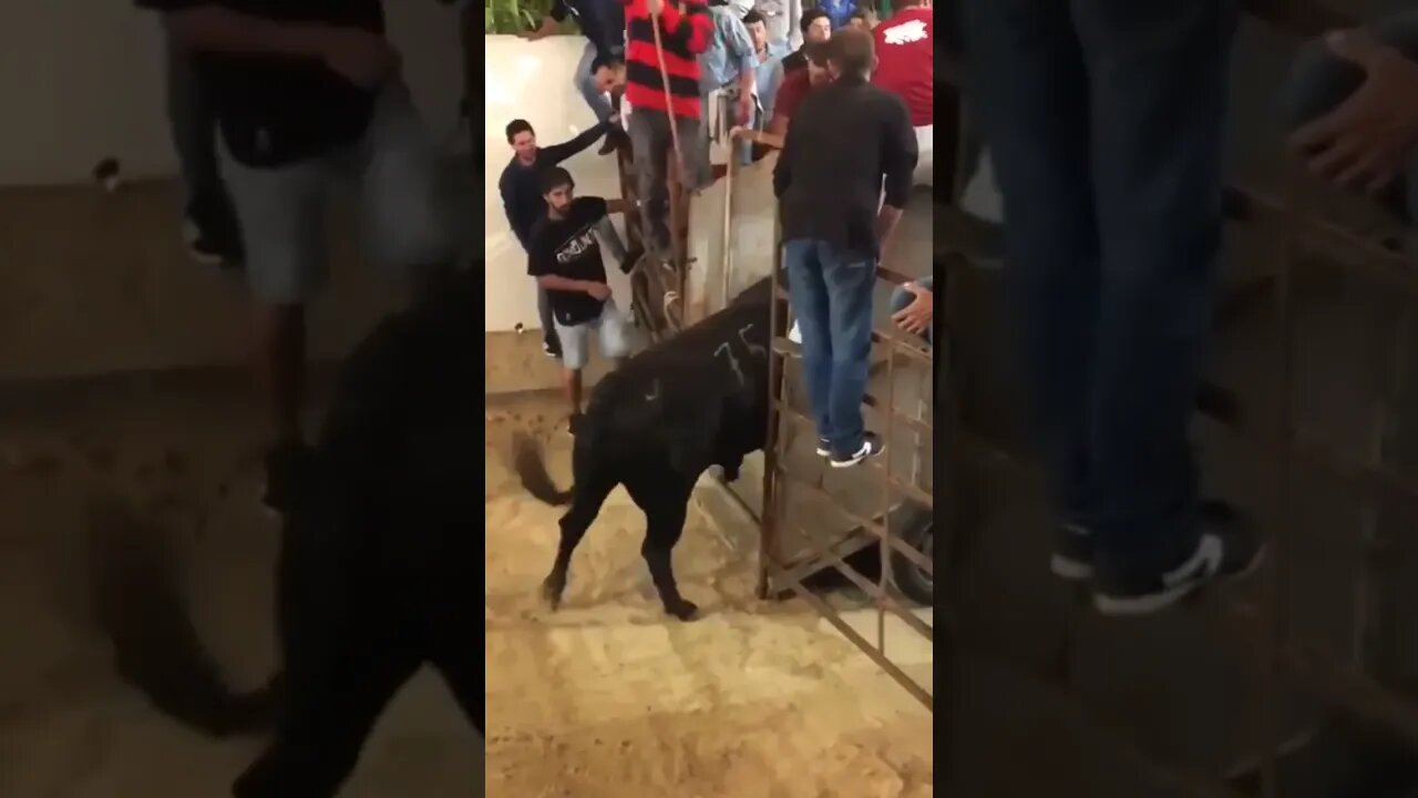 Stay away from that place. 😁😬