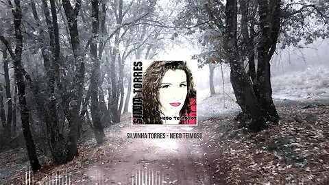 Silvinha Torres - Nego Teimoso