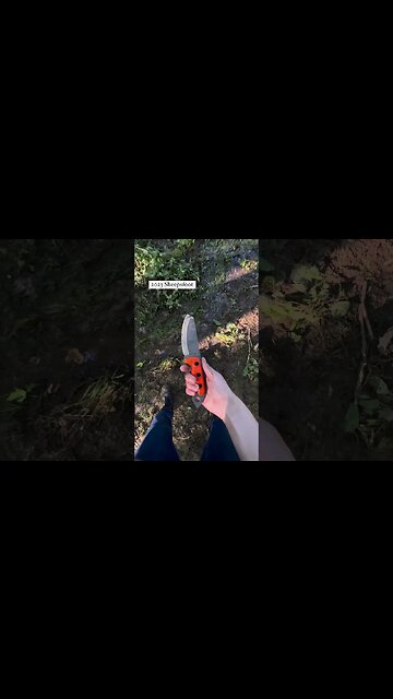 TOP 3 FIXED BLADES for Fall 2023 | Shed Knives #shedknives #shorts blade #knifemaker #bushcraft