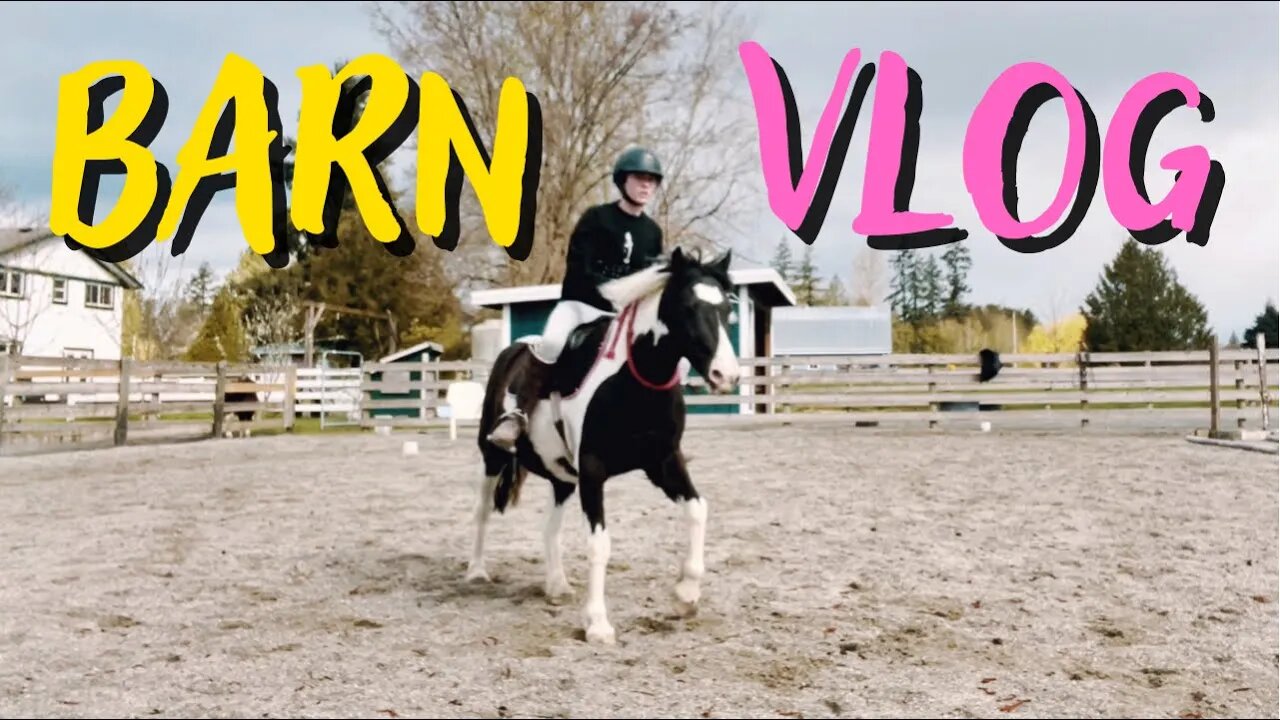 Riding My Old Pony! | Weeklong Barn Vlog