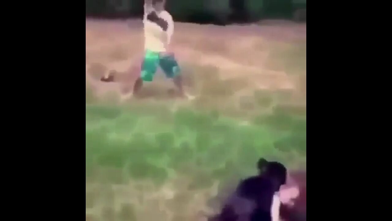 Kid gets raped by a bulldog