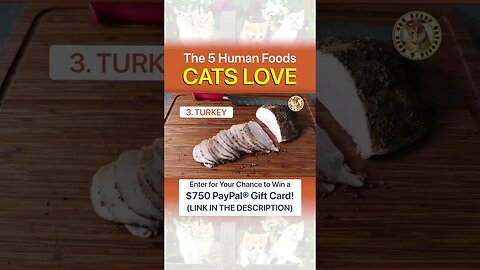 5 Human Foods That Cats Love! | Funny Cats and #CatFacts (#Shorts)