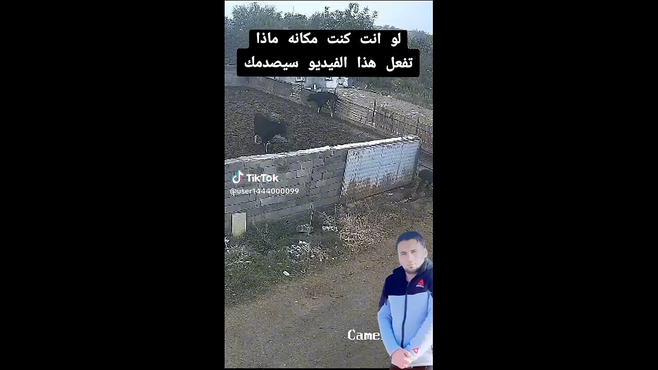 doc