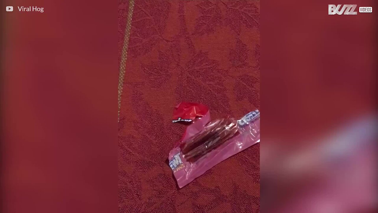 Une mère découvre une aiguille dans les bonbons d'Halloween de son fils