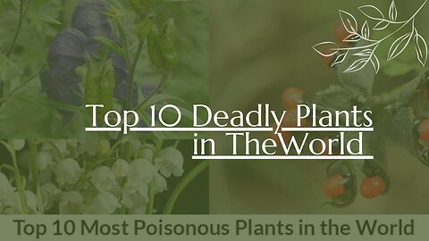 Top 10 Most Dangerous Plants In The World/ Deadly plants in the world