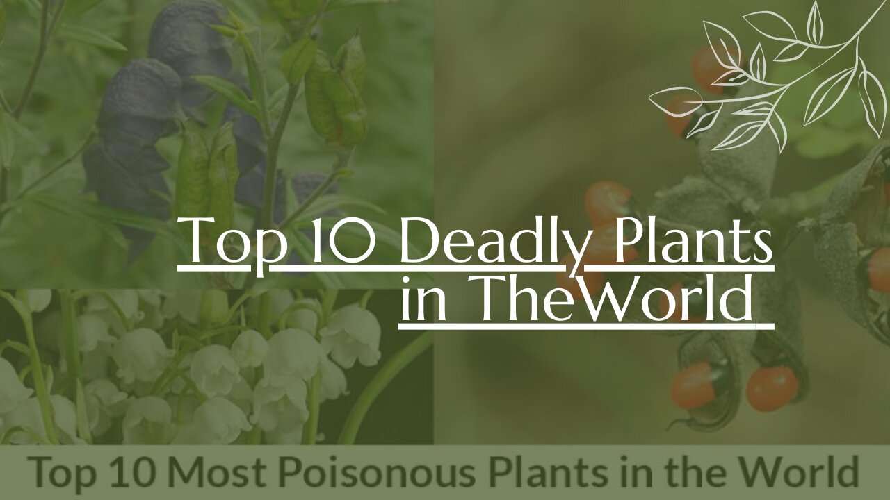 Top 10 Most Dangerous Plants In The World/ Deadly plants in the world