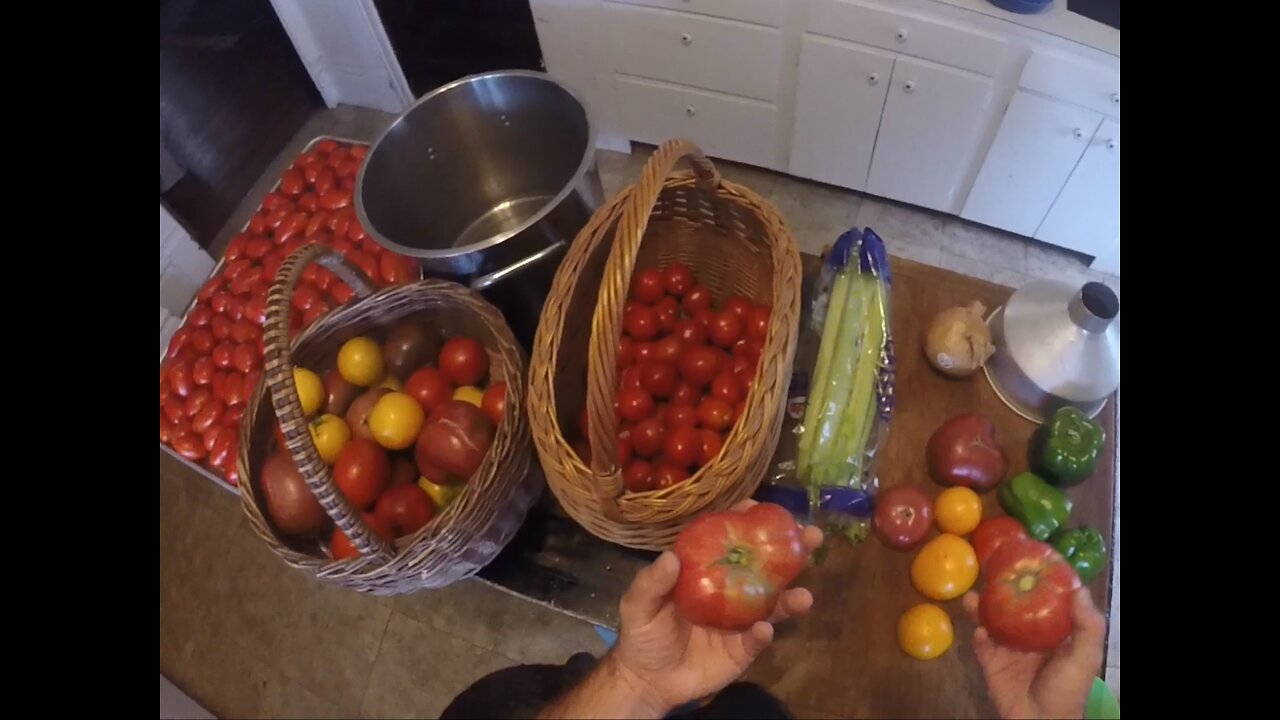 Huge Tomato Harvest Ready to Can and Store