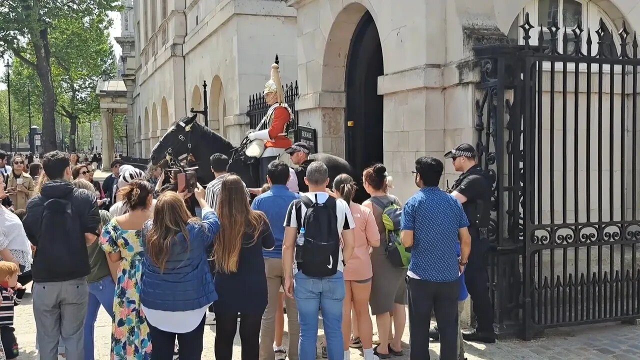 Kings guard gets the police #horseguardsparade