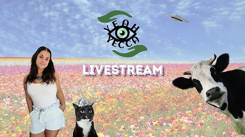 Yeah Yecca Livestream