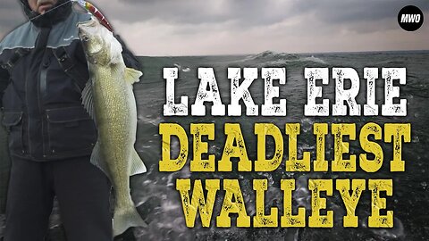 Attacking the Fall Brawl with Dead-eye Crankbaits