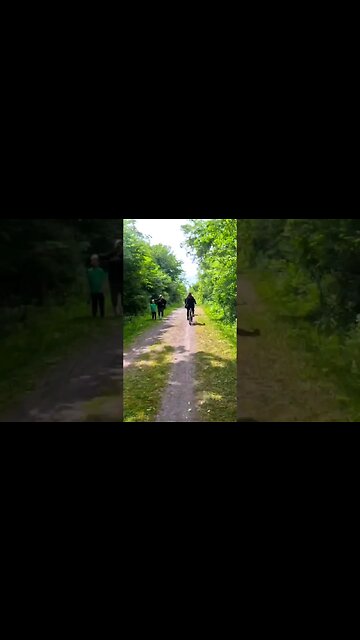 trail ride timelapse #cycling #cyclingpath #bike #newyork #bikelife #transportation #nature