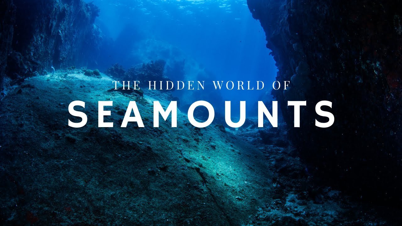 The Hidden World of Seamounts | Nature World Explore