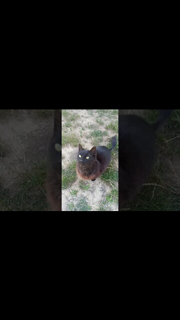 Sunset Void Has Opinions