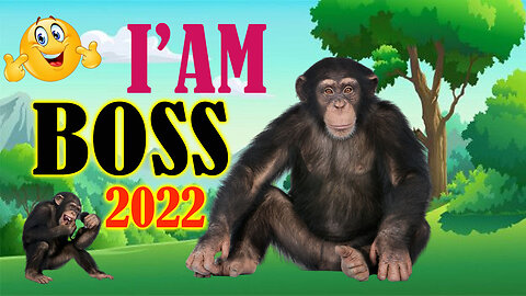 I am the BOSS OF 2022