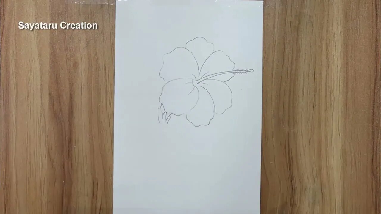 How to draw a hibiscus flower step by step pencil sketch