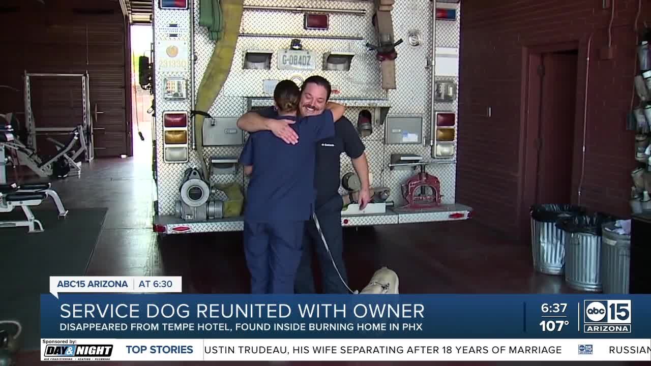 Service dog reunited with owner