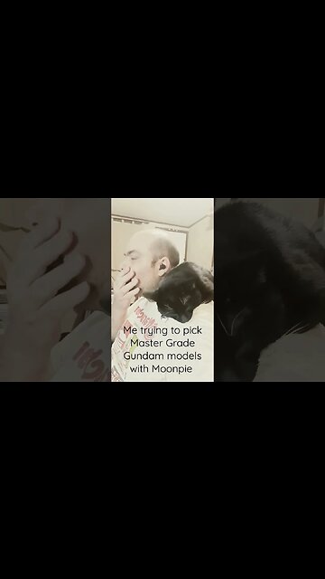 Trying to pick Gunpla #shortsfeed #shortsvideo #cat #gunpla #gundambuild