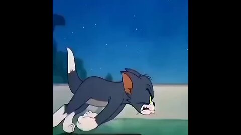 The Tom and Jerry cartoon for kids