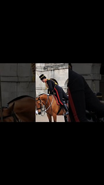 King's troop dismount the horse #horseguardsparade